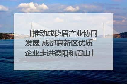 推动成德眉产业协同发展 成都高新区优质企业走进德阳和眉山