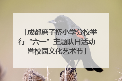 成都磨子桥小学分校举行“六一”主题队日活动暨校园文化艺术节
