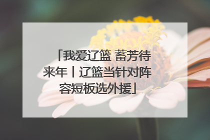 我爱辽篮 蓄芳待来年丨辽篮当针对阵容短板选外援