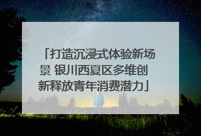 打造沉浸式体验新场景 银川西夏区多维创新释放青年消费潜力