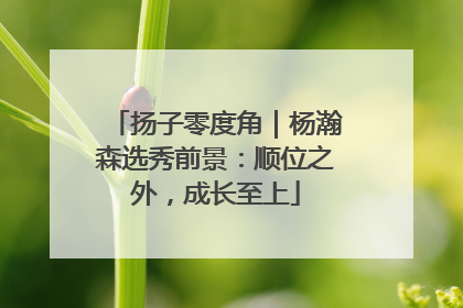 扬子零度角｜杨瀚森选秀前景：顺位之外，成长至上