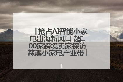 抢占AI智能小家电出海新风口 超100家跨境卖家探访慈溪小家电产业带