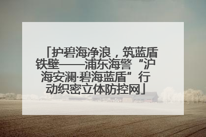 护碧海净浪，筑蓝盾铁壁——浦东海警“沪海安澜·碧海蓝盾”行动织密立体防控网