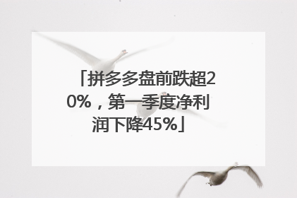 拼多多盘前跌超20%，第一季度净利润下降45%