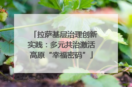拉萨基层治理创新实践：多元共治激活高原“幸福密码”