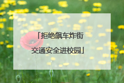拒绝飙车炸街 交通安全进校园