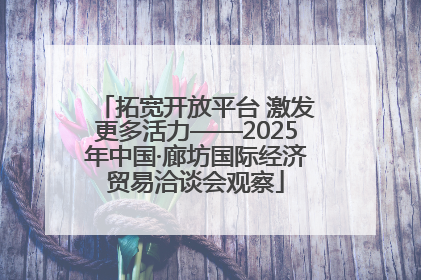 拓宽开放平台 激发更多活力——2025年中国·廊坊国际经济贸易洽谈会观察