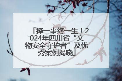 择一事终一生！2024年四川省“文物安全守护者”及优秀案例揭晓
