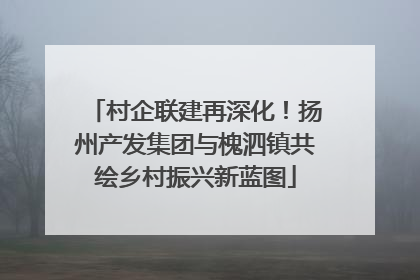 村企联建再深化！扬州产发集团与槐泗镇共绘乡村振兴新蓝图
