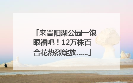 来晋阳湖公园一饱眼福吧！12万株百合花热烈绽放……