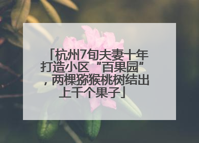 杭州7旬夫妻十年打造小区“百果园”，两棵猕猴桃树结出上千个果子