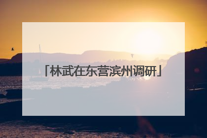 林武在东营滨州调研