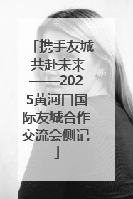 携手友城 共赴未来——2025黄河口国际友城合作交流会侧记