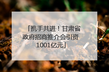 携手共进！甘肃省政府招商推介会引资1001亿元
