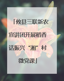攸县三联新农宣讲团开展稻香话振兴“湘”村微党课