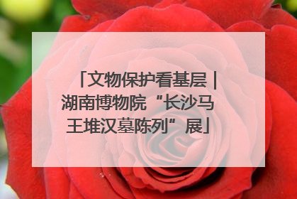 文物保护看基层｜湖南博物院“长沙马王堆汉墓陈列”展