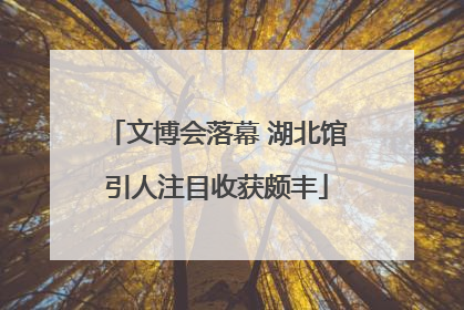 文博会落幕 湖北馆引人注目收获颇丰