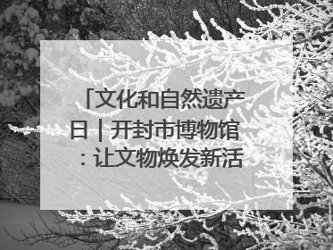 文化和自然遗产日｜开封市博物馆：让文物焕发新活力绽放新光彩