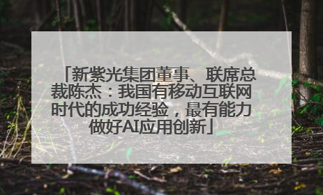 新紫光集团董事、联席总裁陈杰：我国有移动互联网时代的成功经验，最有能力做好AI应用创新