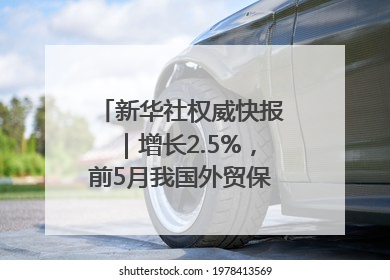 新华社权威快报｜增长2.5%，前5月我国外贸保持较强韧性
