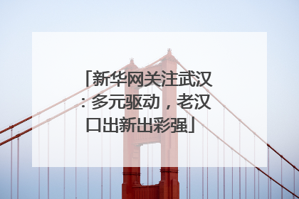 新华网关注武汉：多元驱动，老汉口出新出彩强