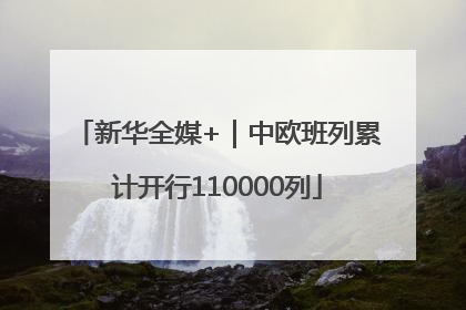 新华全媒+｜中欧班列累计开行110000列