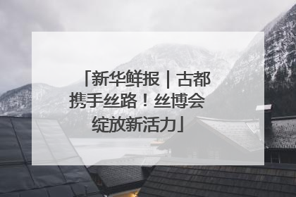 新华鲜报｜古都携手丝路！丝博会绽放新活力