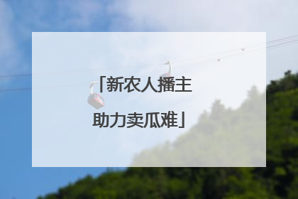 新农人播主 助力卖瓜难
