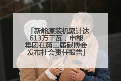 新能源装机累计达613万千瓦，申能集团在第三届碳博会发布社会责任报告