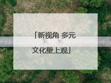 新视角 多元文化壁上观