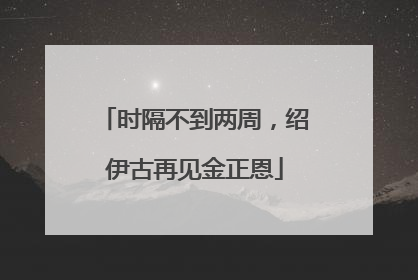 时隔不到两周，绍伊古再见金正恩