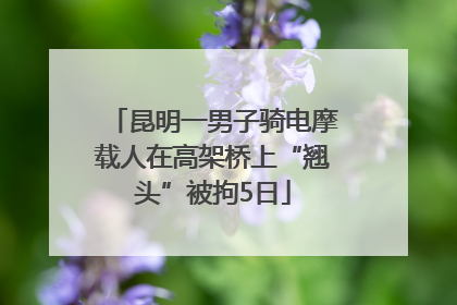 昆明一男子骑电摩载人在高架桥上“翘头”被拘5日