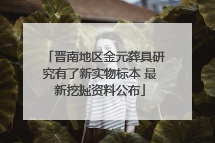 晋南地区金元葬具研究有了新实物标本 最新挖掘资料公布
