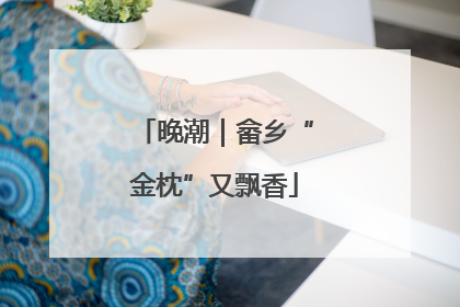 晚潮｜畲乡“金枕”又飘香