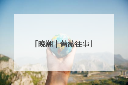 晚潮｜蔷薇往事