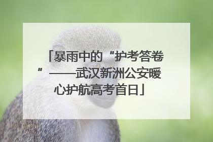 暴雨中的“护考答卷”——武汉新洲公安暖心护航高考首日
