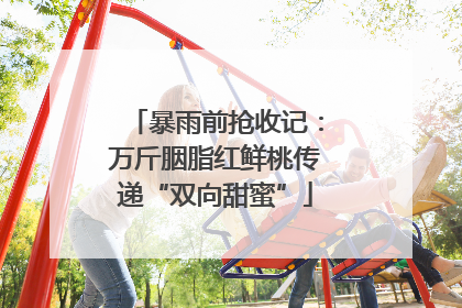 暴雨前抢收记：万斤胭脂红鲜桃传递“双向甜蜜”