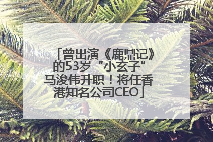 曾出演《鹿鼎记》的53岁“小玄子”马浚伟升职！将任香港知名公司CEO