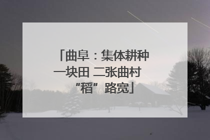 曲阜：集体耕种一块田 二张曲村“稻”路宽