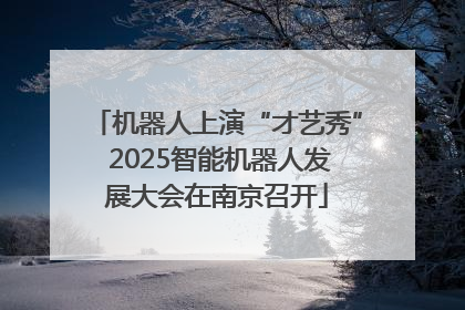 机器人上演“才艺秀” 2025智能机器人发展大会在南京召开