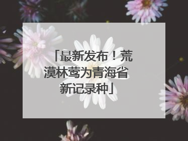 最新发布！荒漠林莺为青海省新记录种