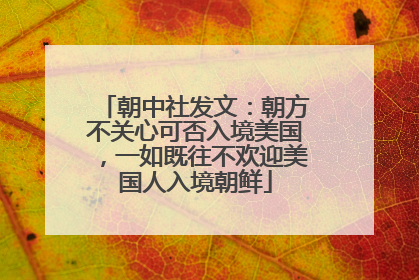 朝中社发文：朝方不关心可否入境美国，一如既往不欢迎美国人入境朝鲜