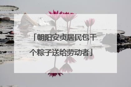 朝阳安贞居民包千个粽子送给劳动者