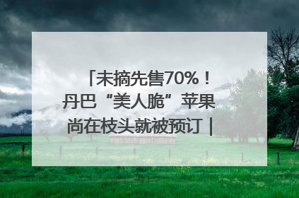 未摘先售70%！丹巴“美人脆”苹果尚在枝头就被预订｜长征路上看四川