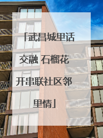武昌城里话交融 石榴花开串联社区邻里情
