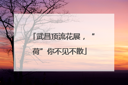 武昌顶流花展，“荷”你不见不散