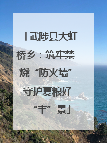 武陟县大虹桥乡：筑牢禁烧“防火墙” 守护夏粮好“丰”景
