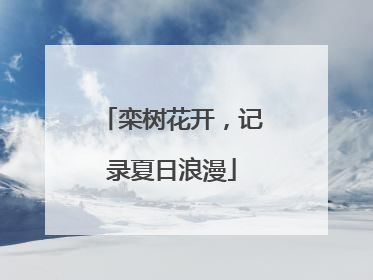栾树花开，记录夏日浪漫