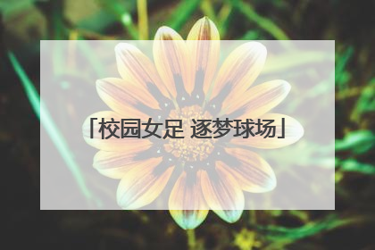 校园女足 逐梦球场