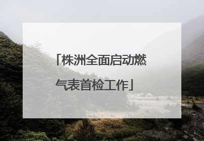 株洲全面启动燃气表首检工作